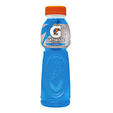 GATORADE BLUE BOLT PET BOTTLE 350ML