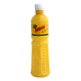 BAGUIO OIL PET BOTTLE 500ML (456G)